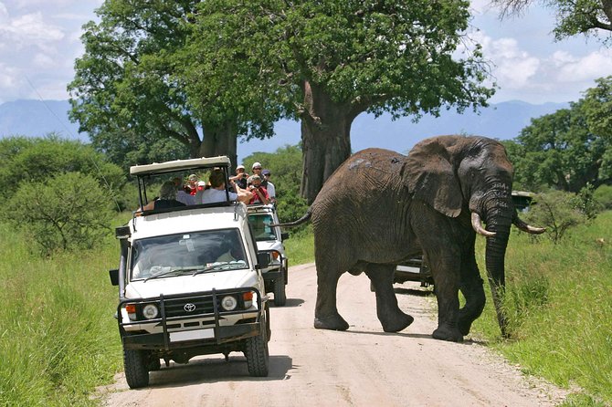 Amboseli National Park Full Day Guided Tour - Four hours to the Amboseli ecosystem