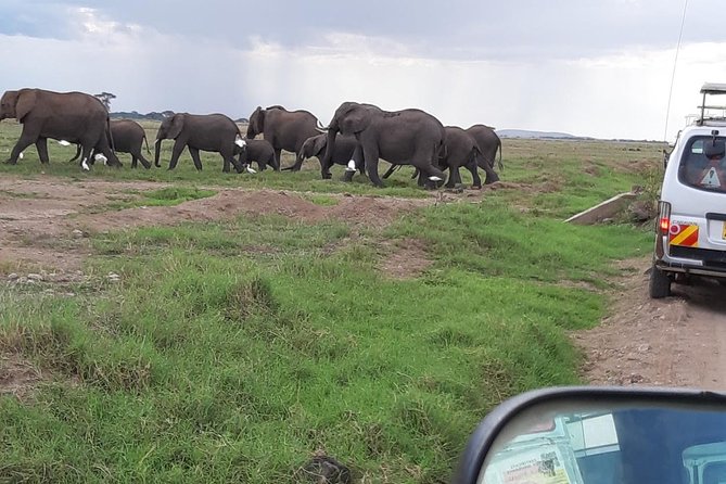 Amboseli National Park Guided Full Day Tour - Practical advice before you book