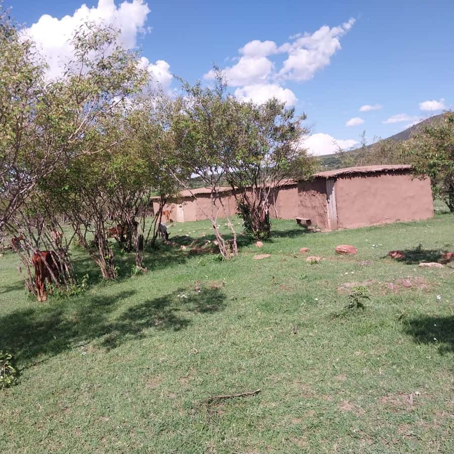 Amboseli Wildlife Day Tour And Masai Village Visit - Why Kilimanjaro makes Amboseli special