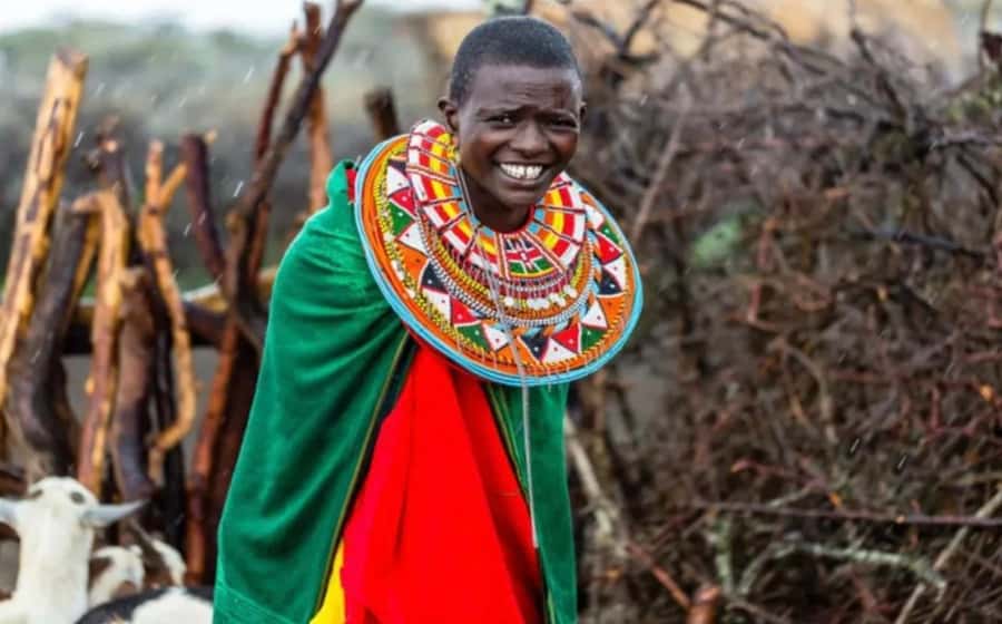 Amboseli Wildlife Day Tour And Masai Village Visit - Should you book the Amboseli day tour?