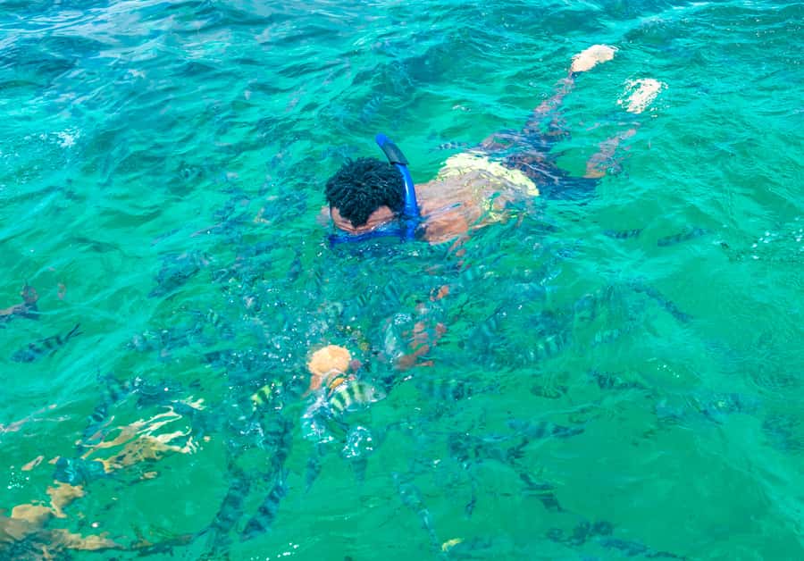 Blue Safari: Snorkeling at Watamu Marine Park & Seafood - Snorkeling in Watamu Marine Park