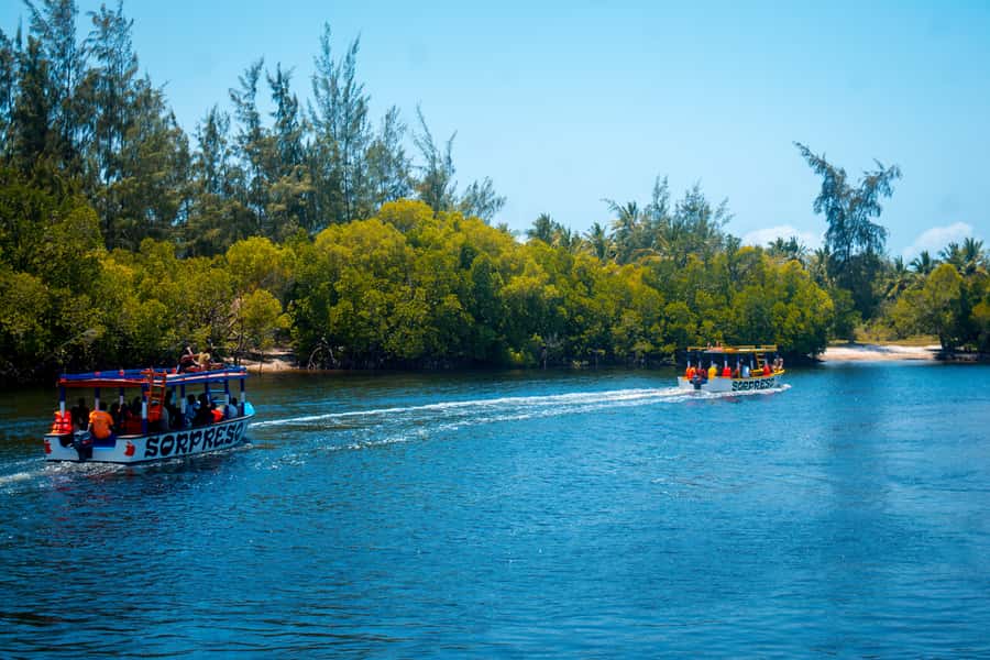Blue Safari: Snorkeling at Watamu Marine Park & Seafood - Mangroves and the optional canoe ride