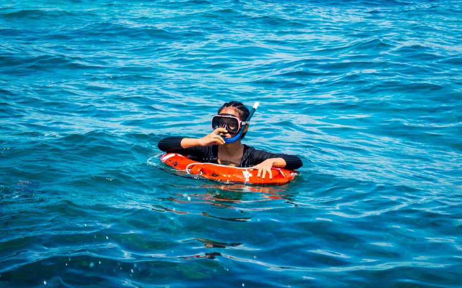 Blue Safari: Snorkeling at Watamu Marine Park & Seafood - Glass-bottom boat views before the reef stop