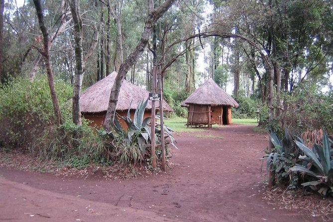 Bomas of Kenya Half-Day Tour from Nairobi - Why Bomas of Kenya is worth your afternoon