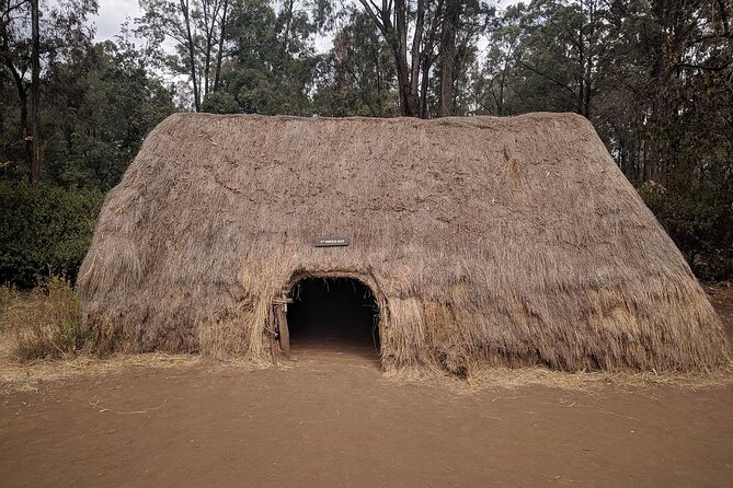 Bomas of Kenya Half-Day Tour from Nairobi - Who will get the most from this tour