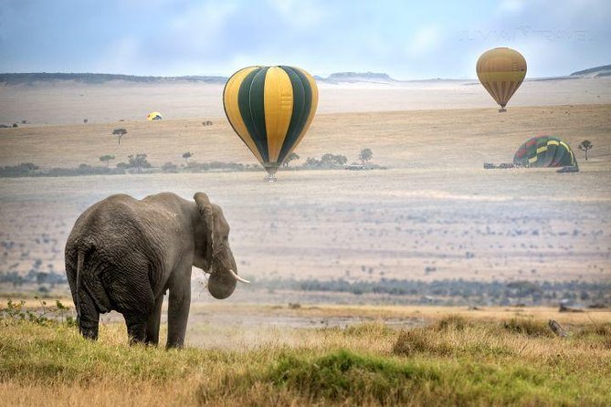 Classic Best Adventure In Kenya And Tanzania 2025 - Olduvai Gorge and the Serengeti