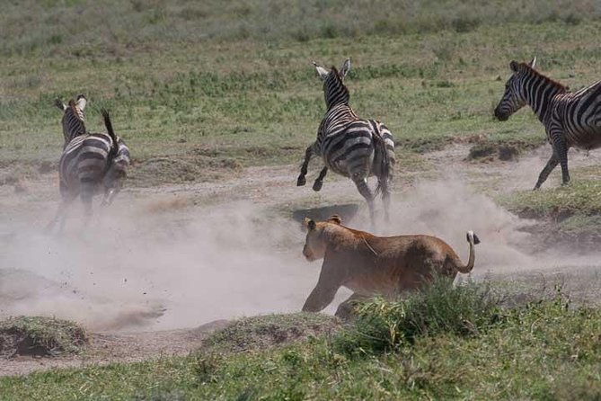 Classic Best Adventure In Kenya And Tanzania 2025 - Nairobi arrival and the road to Amboseli