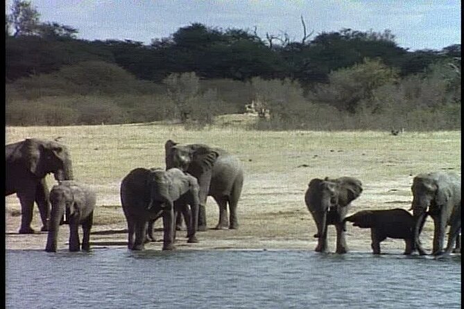 Classic Best of Kenya - What the price includes, and what it does not