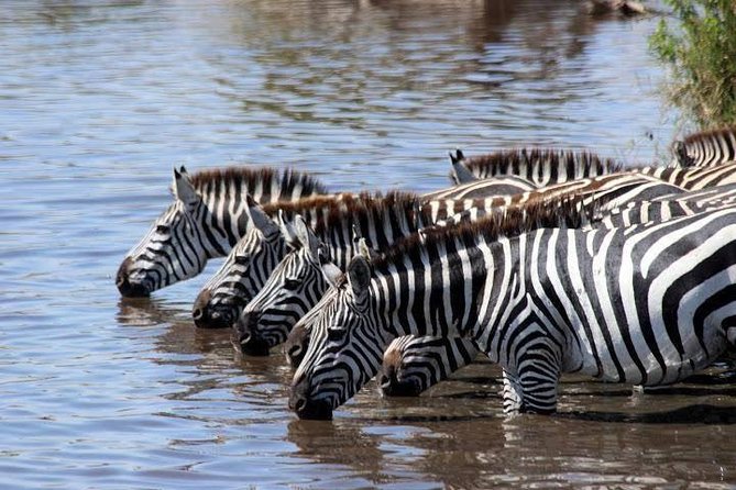 Classic Luxury 4 X 4 Masai Mara Safari - Day 1: Rift Valley views and an evening game drive