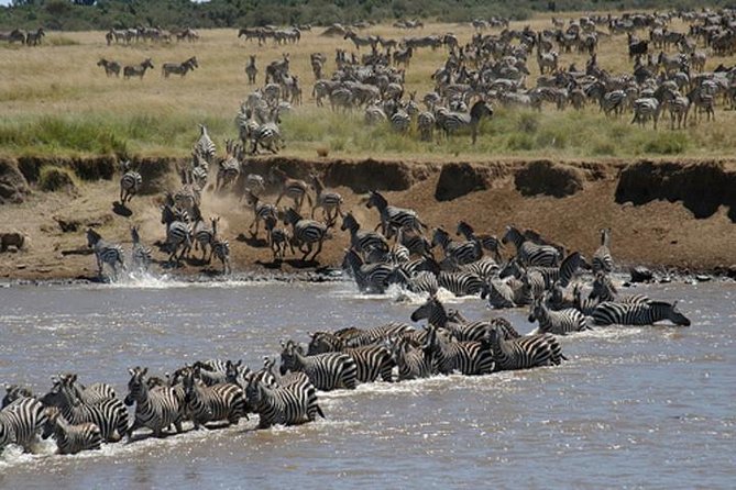 Classic Luxury 4 X 4 Masai Mara Safari - What the $1,700 price really includes