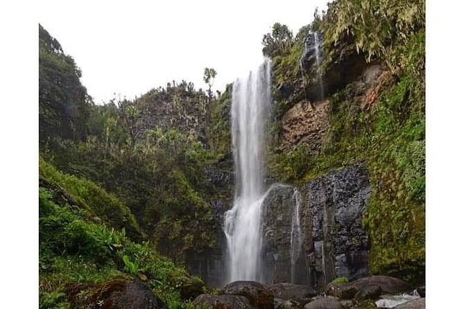 Climbing Mount Kenya 5 Days Via Chogoria Route - Day 5: Sirimon Park Gate and the return to Nairobi