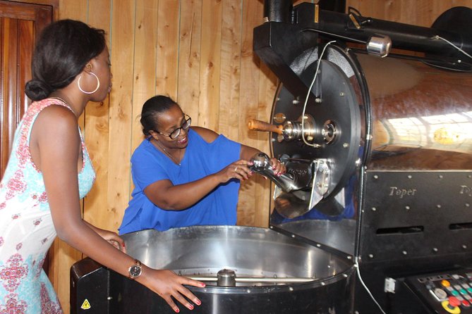 Coffee farm tour, coffee roasting and tasting experience - From coffee tree to processed bean