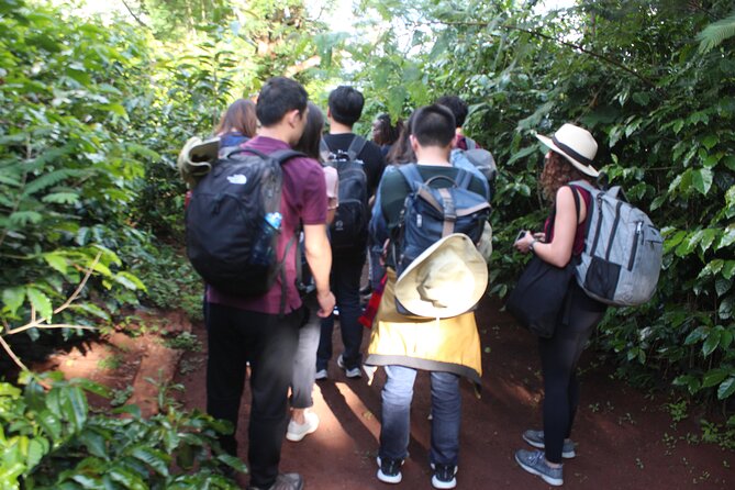 Coffee farm tour, coffee roasting and tasting experience - Fresh coffee, snacks, and a relaxed finish