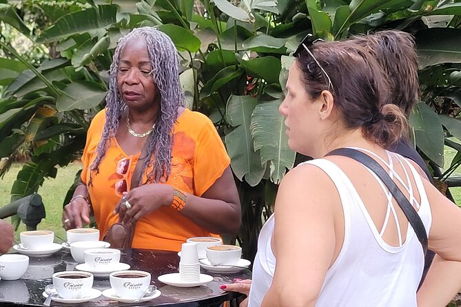 Coffee Farm Tour (Fairview) - Walking through coffee from flower to cherry