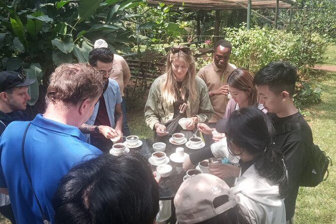 Coffee Farm Tour (Fairview) - Four grades and a surprisingly tricky tasting