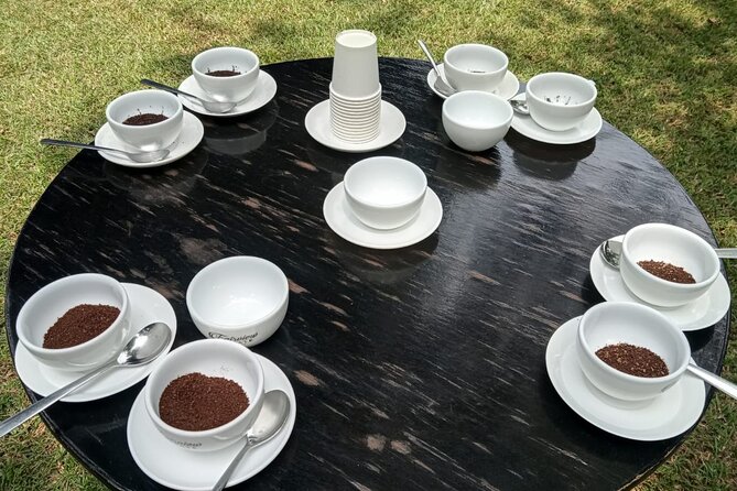 Coffee Farm Tour (Fairview) - Who will enjoy this coffee estate visit?