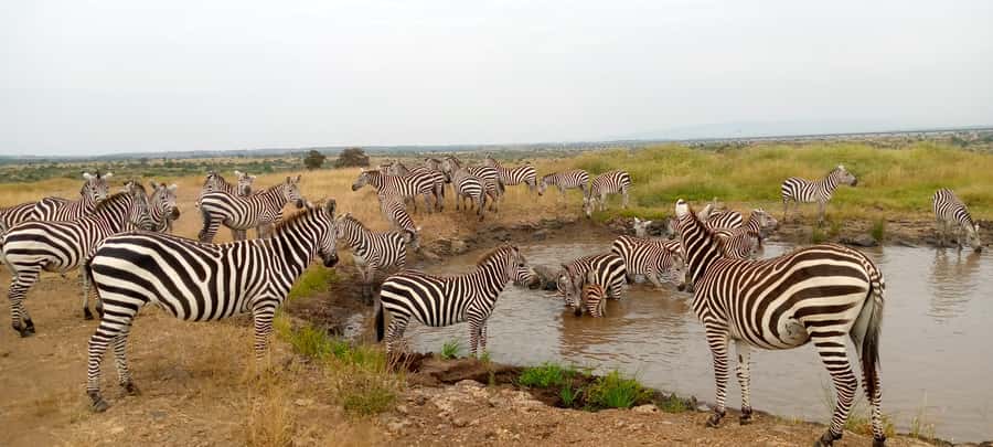 Crescent Island And Boat Ride Day Trip - The morning drive from Nairobi to Lake Naivasha