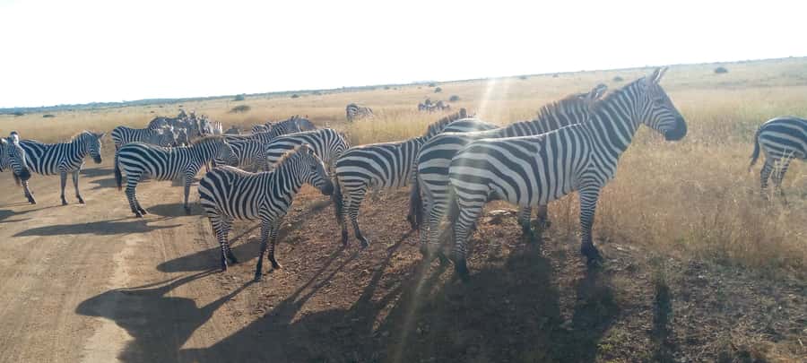 Crescent Island And Boat Ride Day Trip - Pairing Crescent Island with Hell’s Gate or Mount Longonot