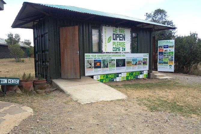 Day safari to Olpejeta Rhino conservancy - The northern white rhinos and ranger-led viewing