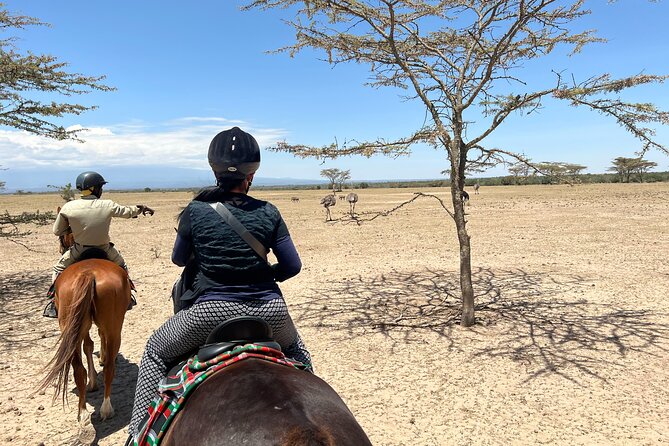 Day safari to Olpejeta Rhino conservancy - A one-hour game drive across 90,000 acres