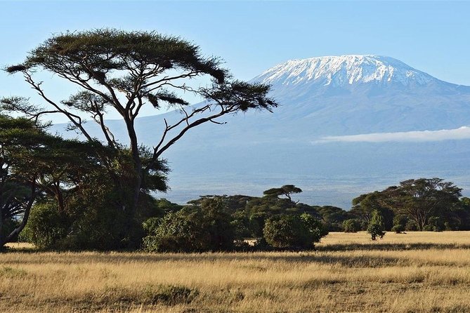 Day Tour - Amboseli National Park From Nairobi - The optional Maasai village visit
