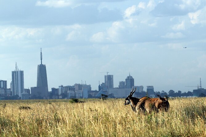 Day Tour at Nairobi National Park and Giraffe Centre - Key points before you book