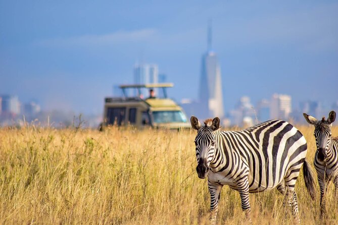Day Tour at Nairobi National Park and Giraffe Centre - The 6:00 am pickup and five-hour game drive