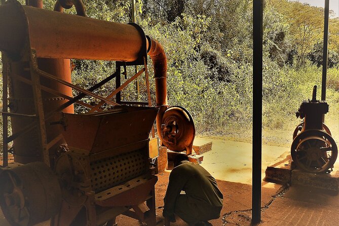 Day Tour Giraffe Center, Karen blixen and Lunch at Carnivore - Who will enjoy this tour most