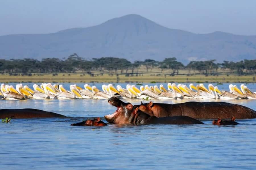 Day tour Hells gate and lake Naivasha from Nairobi - Lake Naivasha brings a slower first stop