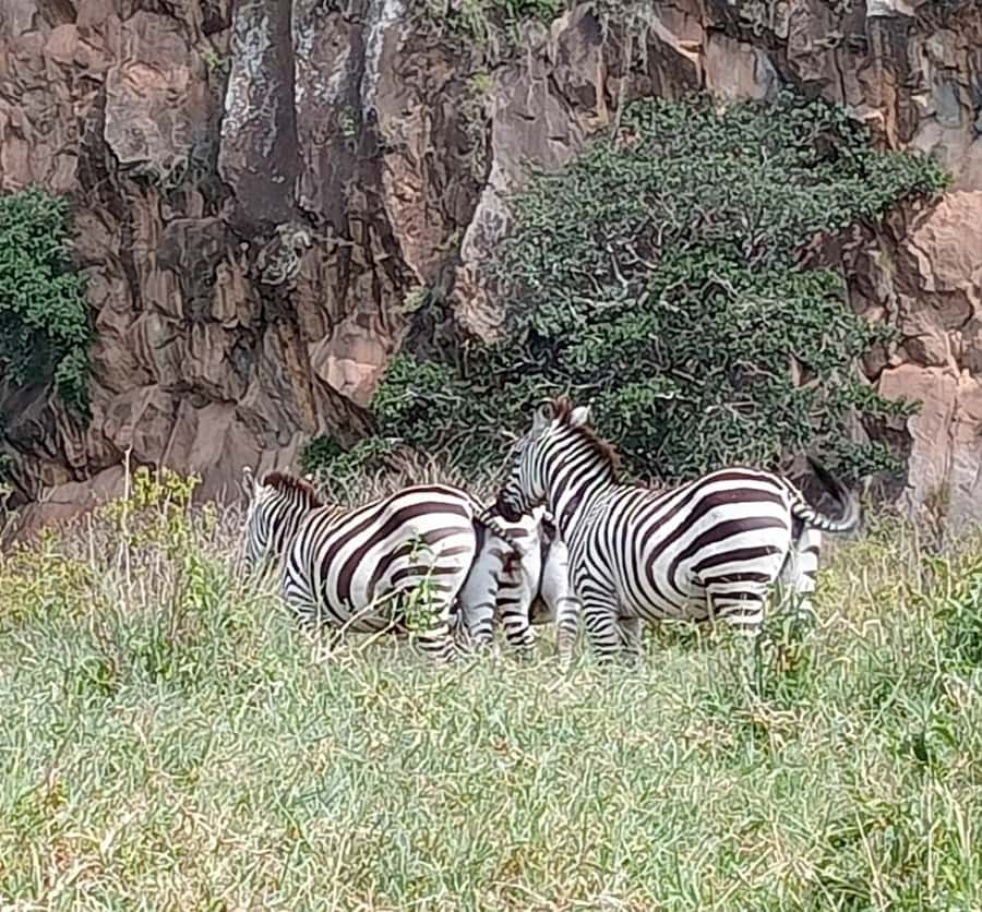 DAY TOUR- LAKE NAIVASHA AND HELL'S GATE PARK-WITH PARK FEES - Two hours on a bicycle inside Hells Gate