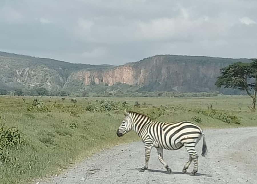 DAY TOUR- LAKE NAIVASHA AND HELL'S GATE PARK-WITH PARK FEES - 7am departure and the Great Rift Valley viewpoint
