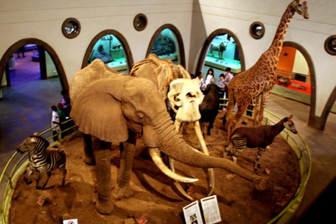 Day Tour Nairobi Museum, Giraffe Centre & Nairobi National Park - Guides, private transport, and the pace of the day