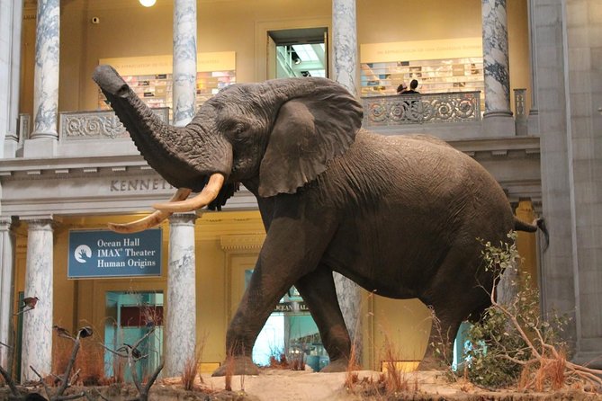 Day Tour Nairobi Museum, Giraffe Centre & Nairobi National Park - Who gets the best value from the $301.30 price