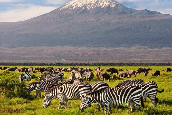 Day Tour Nairobi National Park - What the $390 price really includes