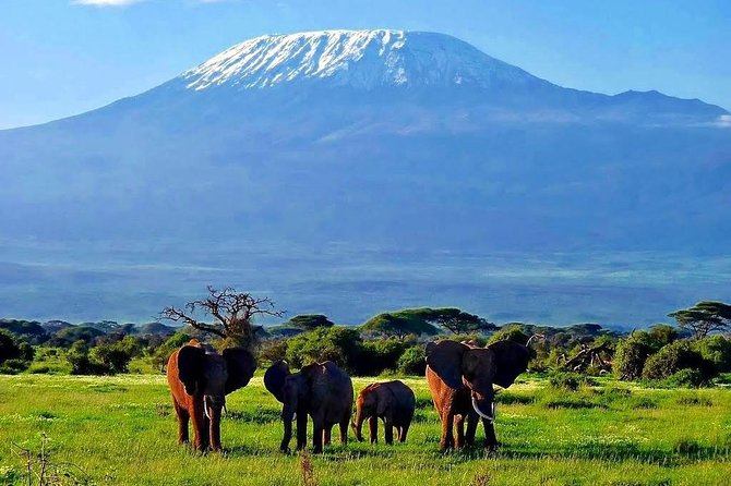 Day Tour Nairobi National Park - The game drive: open grassland and acacia trees