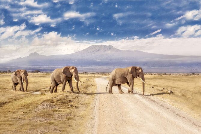 Day Tour to Amboseli National Park - Why Amboseli Works as a Nairobi Day Trip