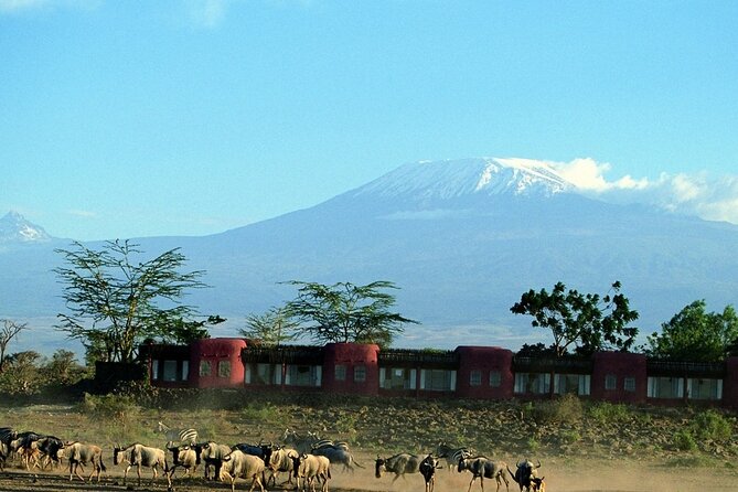 Day Tour to Amboseli National Park - Observation Hill and the Marsh Views