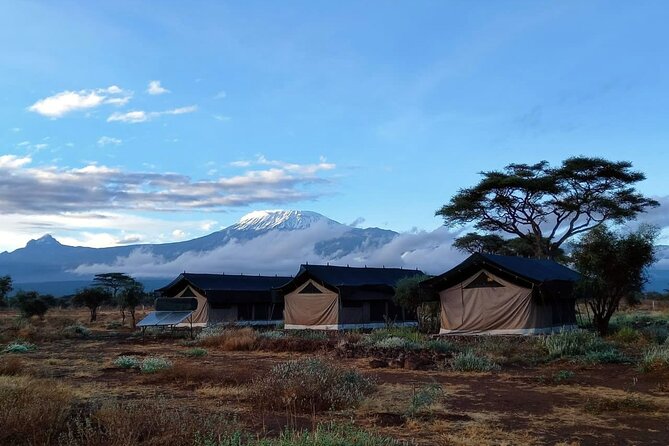 Day Tour to Amboseli National Park from Nairobi - Afternoon viewing and the return to Nairobi