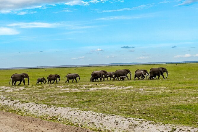 Day Tour To Amboseli National Park From Nairobi - The 5:00 am drive from Nairobi
