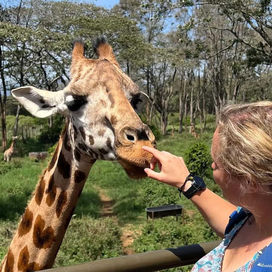 Day Tour to Giraffe Center and Karen Blixen Museum - Should you book the Giraffe Centre and Blixen Museum tour?