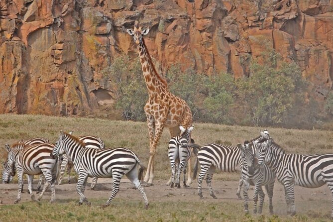 Day tour to Hells Gate, Lake Naivasha and Crescent Island Walk - Lake Naivasha and the boat to Crescent Island