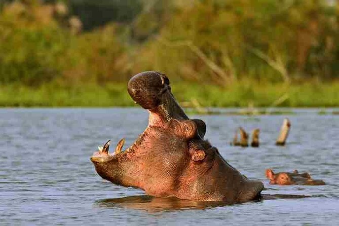 Day tour to Hells Gate, Lake Naivasha and Crescent Island Walk - Walking among wildlife on Crescent Island
