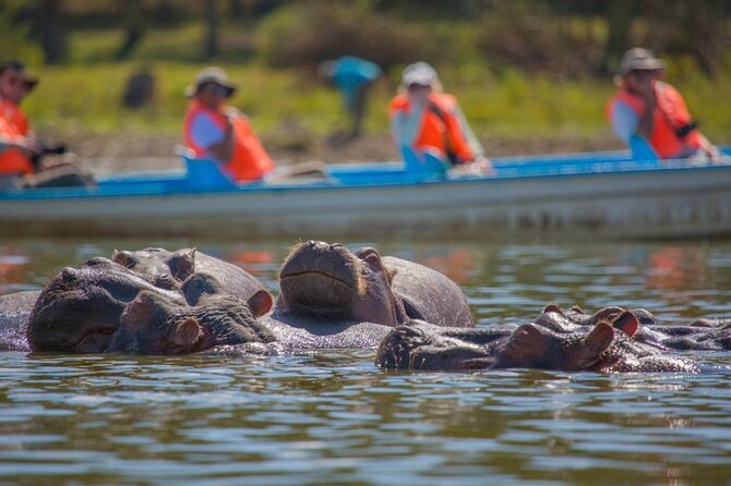 Day tour to Hells Gate, Lake Naivasha and Crescent Island Walk - Who will get the most from this $160 tour