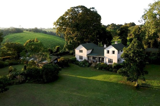 Day Tour To Kiambethu Tea Farm in Limuru - Garden paths, birds, and quiet time