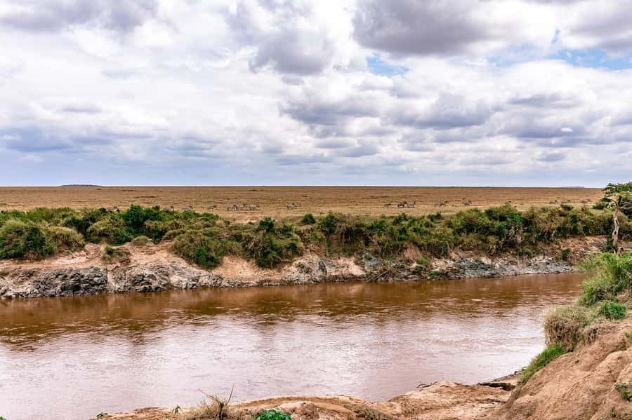Day Tour to Maasai Mara & optional Maasai village visit - Breakfast and the road to Sekenani Gate