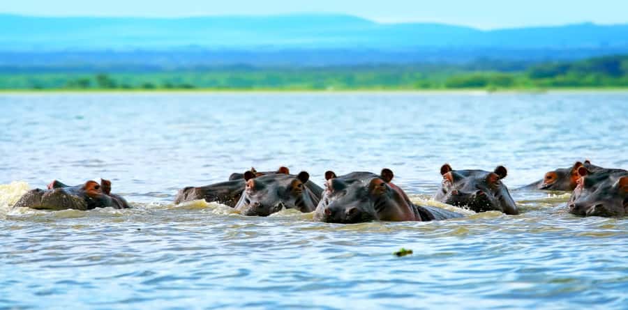 Day Tour To Mount Longonot Park From Nairobi - What the $220 price really covers