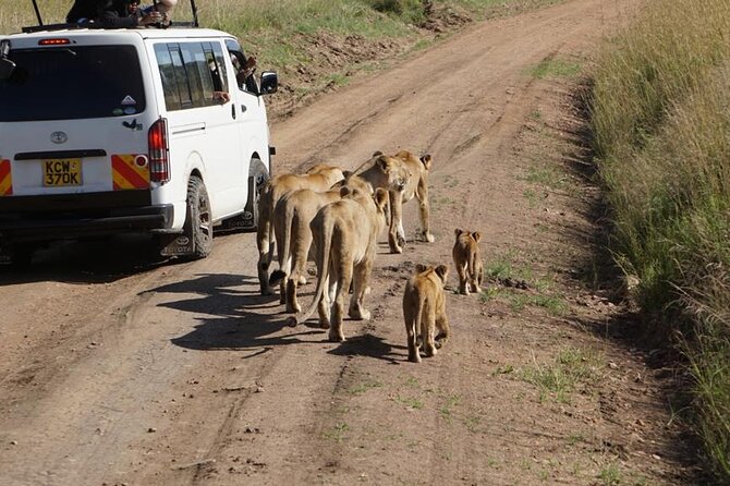Day Tour to Nairobi National Park and Giraffe Center - What the $180 price includes
