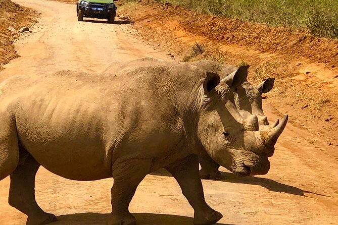 Day Tour to Nairobi National Park and Giraffe Center - Practical advice before you book