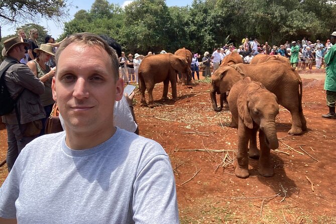 Day Tour to Nairobi national park, Elephants, and Giraffe Center - Three Nairobi wildlife experiences in one day