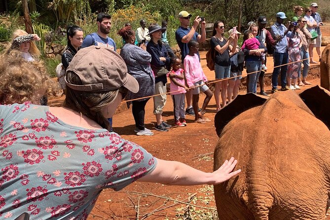 Day Tour to Nairobi national park, Elephants, and Giraffe Center - Lunch near the attractions